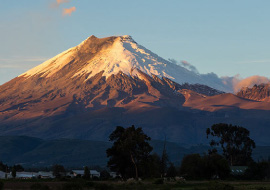 transporte puerta a puerta chimborazo